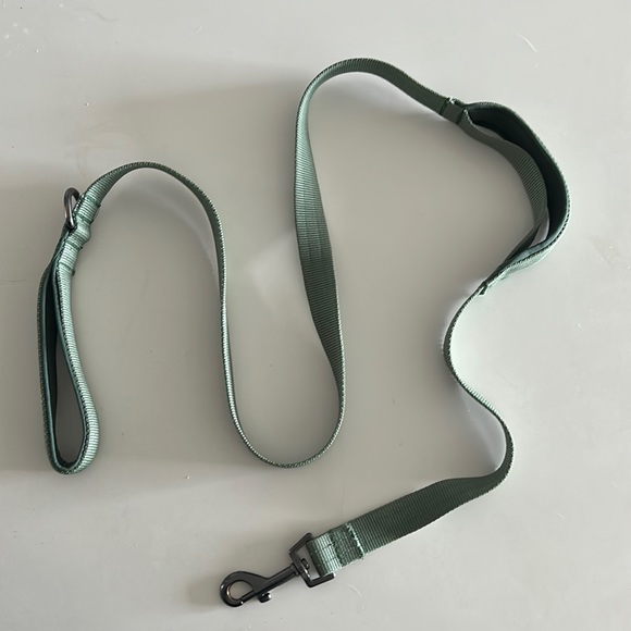 Dog Boots And Barkley Padded 5ft Leash Poshmark